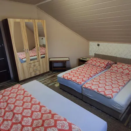 Aniko Vendeghaz هاركاني