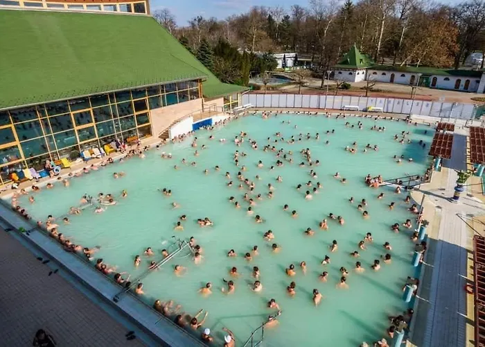 Anikó Alloggio in famiglia *